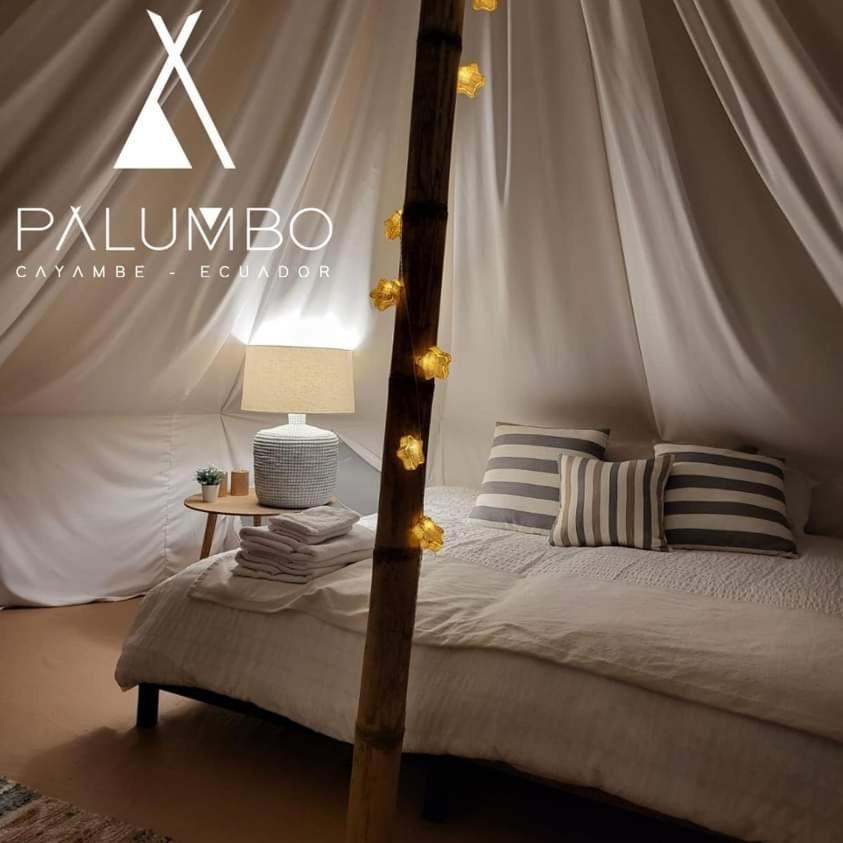 Palumbo Glamping & Villas كايامبيه المظهر الخارجي الصورة